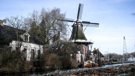 Participatie