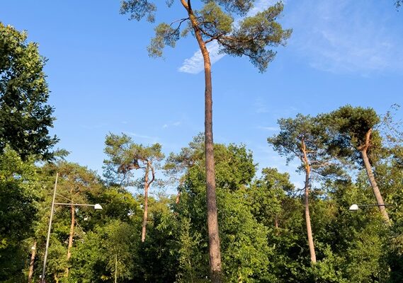 Meer grip op bestuurlijke besluitvorming in West-Betuwe